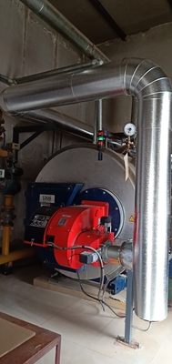 德国劳斯LooS蒸汽锅炉节能与低氮改造